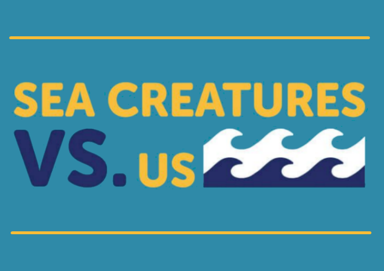 Bristol Aquarium: Sea Creatures vs Us